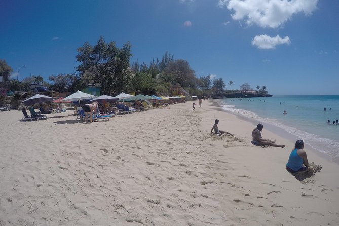 Highlights of Tobago Tour - How the guide shapes the whole experience