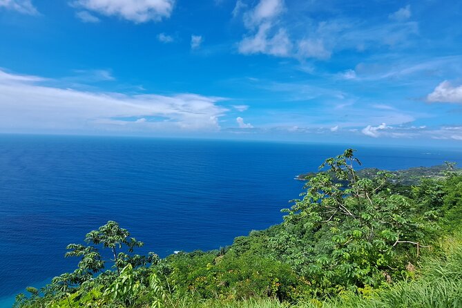 Island Tour (Food and Drinks include) - Key highlights you can plan around