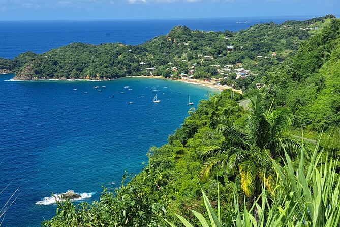 Island Tour (Food and Drinks include) - Price and value: what $240 per person really buys