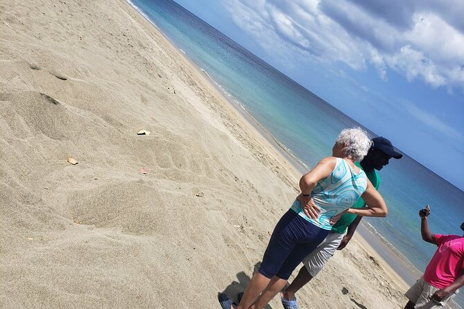 Island Tours of Tobago - Who should book this tour, and who might not love it