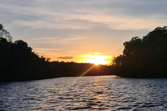 Kayak Adventure in the Second Largest Swamp of Trinidad and Tobago - Wildlife expectations in a real swamp, not a parking-lot zoo