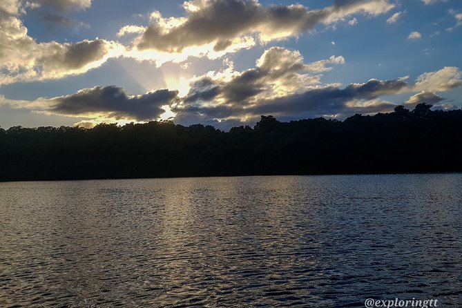 Kayak Adventure in the Second Largest Swamp of Trinidad and Tobago - Dominic and the bird-call advantage that makes the trip click