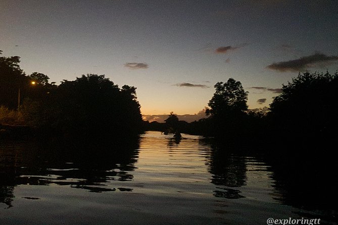Kayak Adventure in the Second Largest Swamp of Trinidad and Tobago - Paddling pace and physical fit: kayaking can be a workout
