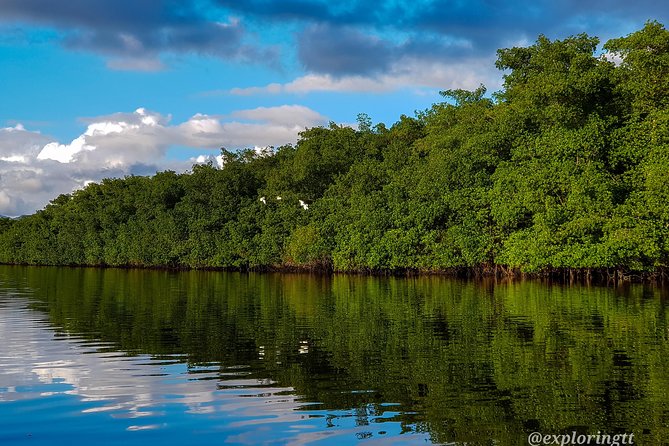 Kayak Adventure in the Second Largest Swamp of Trinidad and Tobago - Camera time and what to look for while you glide