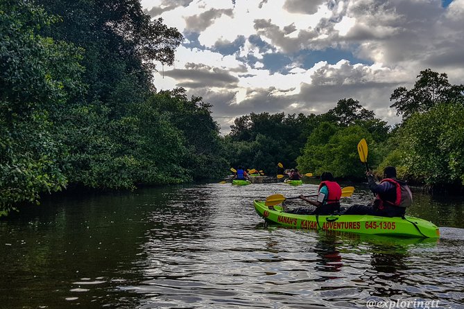 Kayak Adventure in the Second Largest Swamp of Trinidad and Tobago - Price and value at $200, what you actually get