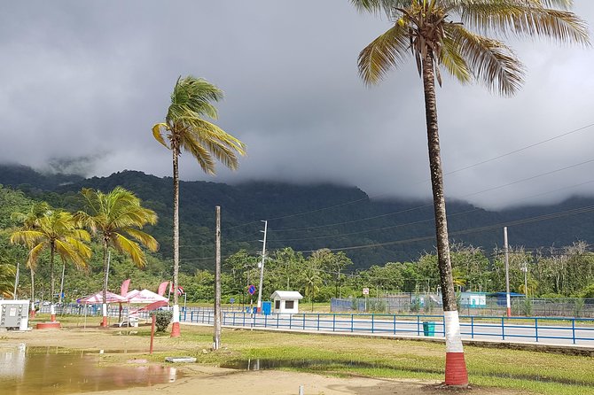 Maracas Beach - Bake and Shark on the Beach: How to Turn a Beach Day Into Local Flavor