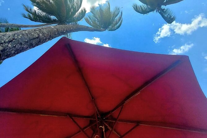 Maracas Beach Excursion & City Pass by tour - Woodford Square and Queen’s Park Savannah: the downtown pause that makes the city feel real