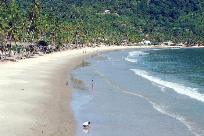 Maracas Beach Trip - Key things you will notice on this Maracas Beach trip
