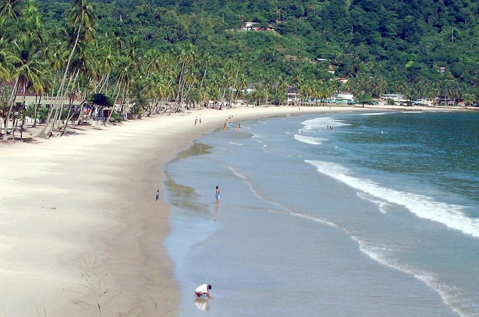 Maracas Beach Trip - Price and logistics, what makes this tour good value