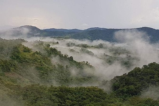 Paramin Jeep Tour in Trinidad - Why the winding roads matter (and how to handle them)