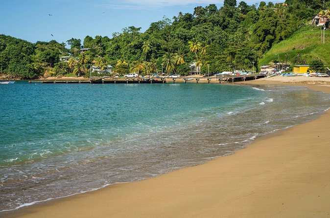 Partlatuvier Bay Day Trip with Lunch - Who Should Book This Tour (and Who Might Not)