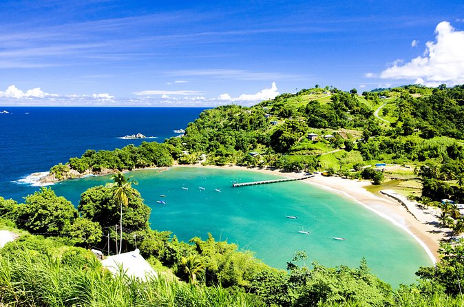 Partlatuvier Bay Day Trip with Lunch - Making the Most of Your Day: Simple Prep That Pays Off