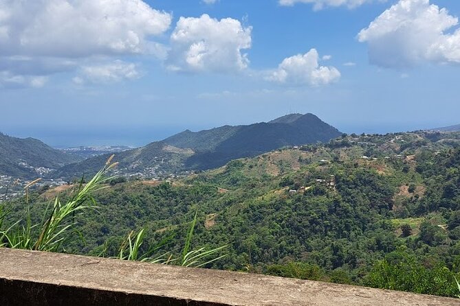 Personalized Private Tour The Paramin Hills - What you actually get in a 4-hour private tour