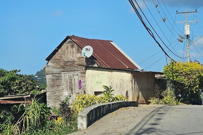Personalized Private Tour The Paramin Hills - Bottled water, no lunch: how to plan your day