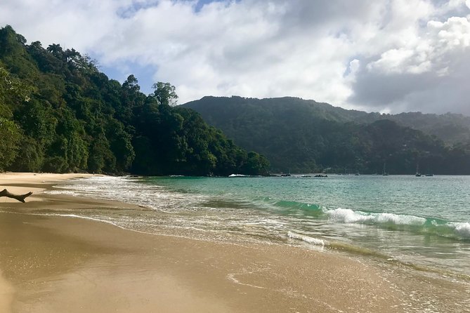 Pirate's Bay Day Trip with Lunch - Pirate’s Bay, Charlotteville, and that Robinson Crusoe feeling