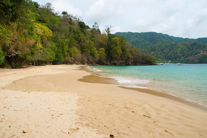 Pirate's Bay Day Trip with Lunch - Who should book this Pirate’s Bay tour with lunch