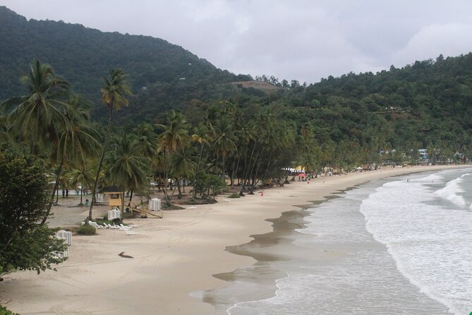 Port of Spain City Highlights and Maracas Beach - Who This Tour Fits Best (and Who Might Want Something Else)