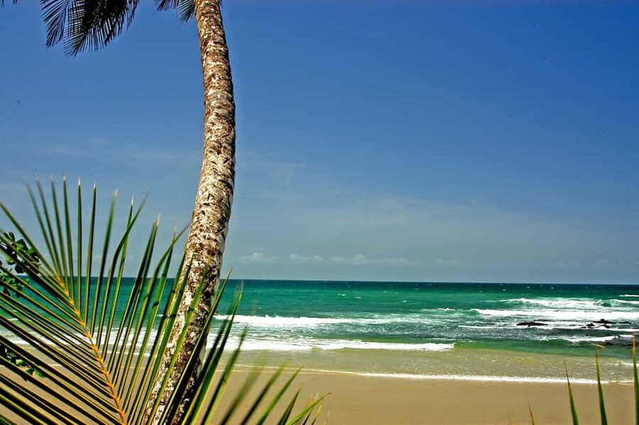 Port of Spain: Coastal Tour of Trinidad - The 8-Hour Rhythm: How the Day Stays Fun Instead of Chaotic
