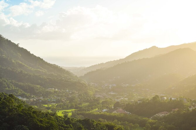Port of Spain Private Walking Tour with a Local - Price and value at $48 per person, and who it makes sense for