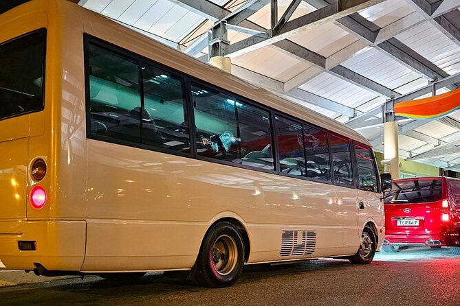 Private Transfer from Piarco Airport to San Fernando - A stress-free start: why this transfer format feels worth it