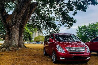 Private Transfer from Piarco Airport to San Fernando