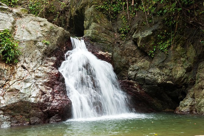 Rainforest Tour - Wildlife spotting tips that actually help on this route