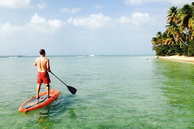 Stand Up Paddle Lessons - Key Things That Make This SUP Lesson in Pigeon Point Worth Your Time
