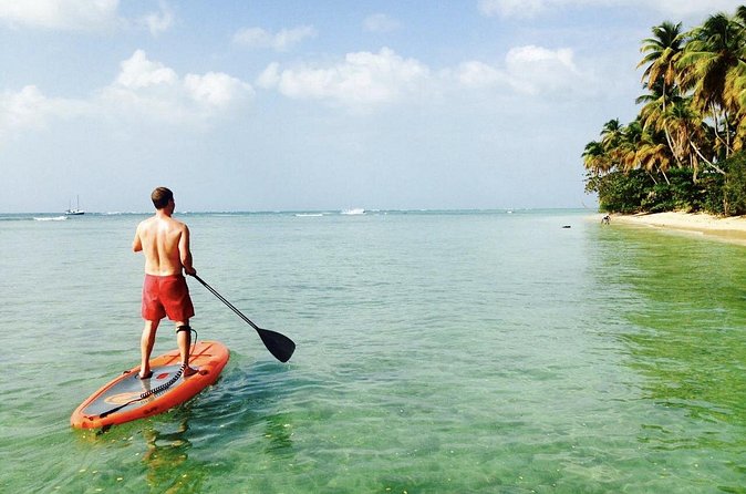 Stand Up Paddle Lessons - In the Water Off Pigeon Point: What You Practice and What You Might Spot