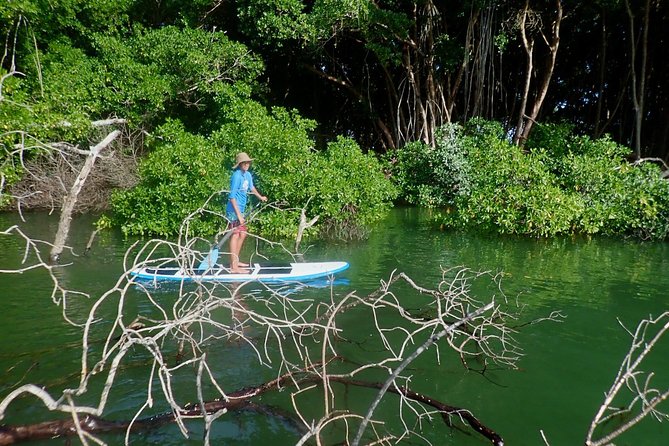 Stand Up Paddle Lessons - The Optional Coastal Paddle: Turning Skills Into Tobago Vibes