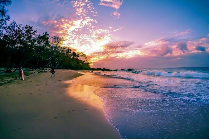 The Grand Circle 12-Hour All-Inclusive Island Experience - Main Ridge Forest Reserve: Where Tobago’s Spine Shows Up