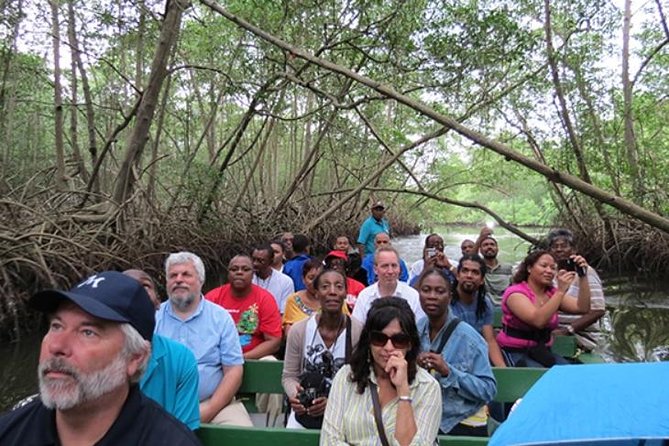The Scarlet Ibis - Caroni Swamp Tour - Key highlights before you go