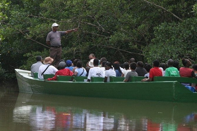 The Scarlet Ibis - Caroni Swamp Tour - What the 3 pm schedule looks like, and how long it really takes