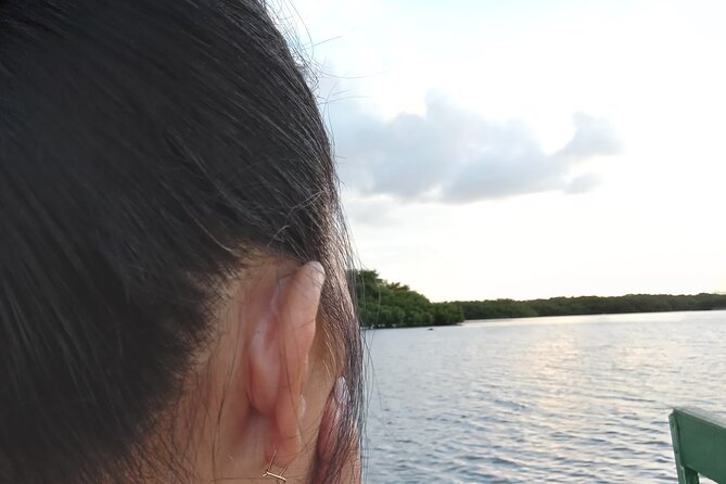 The Scarlet Ibis - Caroni Swamp Tour - The boat ride, safety, and spotting tricks that matter