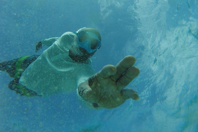The ULTIMATE Bioluminescence night time adventure with Brandon - Swimming and snorkeling among the glow, plus the Nylon pool stop