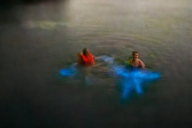 The ULTIMATE Bioluminescence night time adventure with Brandon - What the $170 per person covers, and how to judge the value