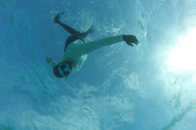 The ULTIMATE Bioluminescence night time adventure with Brandon - Who should book this Brandon bioluminescence trip
