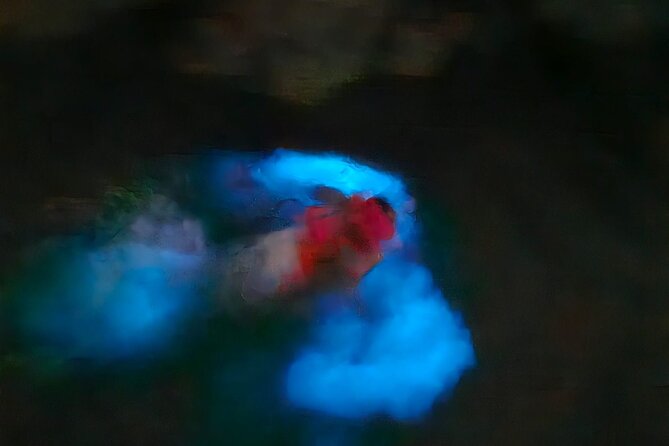 The ULTIMATE Bioluminescence night time adventure with Brandon - The best mindset: what to focus on when the sea starts glowing
