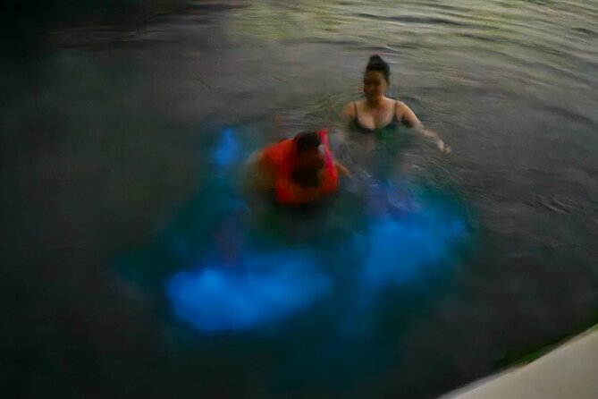 The ULTIMATE Bioluminescence night time adventure with Brandon - The night cruise through mangroves, pelicans, and cypress