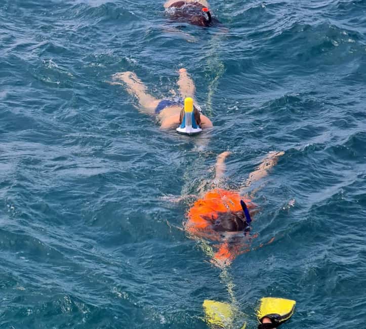 Tobago: Buccoo Reef and Nylon Pool Boat Tour with Transfer - Key Things to Know Before You Go