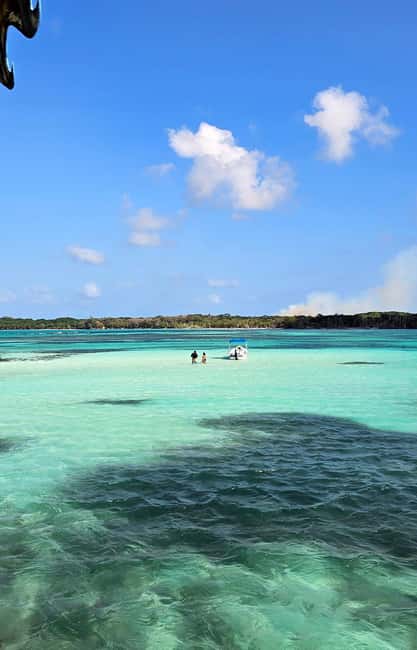Tobago: Buccoo Reef and Nylon Pool Boat Tour with Transfer - What You’re Paying for: Is $40 Good Value?