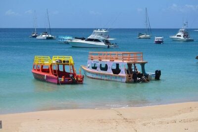 Tobago Buccoo Reef Glass Bottom Boat Cruise and Island Sightseeing Tour