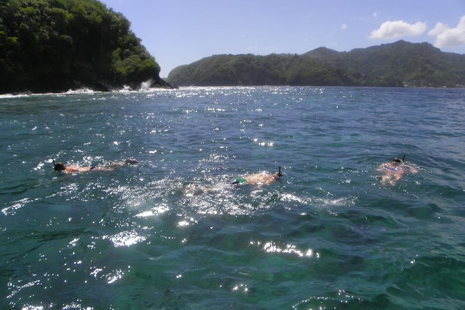 Tobago Buccoo Reef Glass Bottom Boat Cruise and Island Sightseeing Tour - Nylon Pool: the swim and snorkel stop that people remember