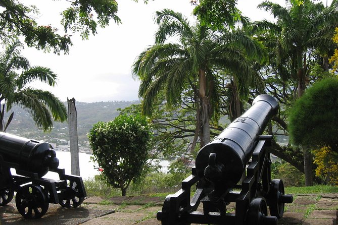Tobago Buccoo Reef Glass Bottom Boat Cruise and Island Sightseeing Tour - What the $110 value looks like in real life