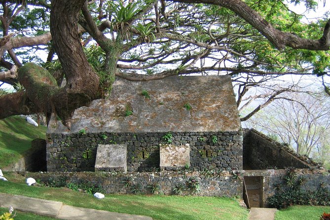 Tobago Buccoo Reef Glass Bottom Boat Cruise and Island Sightseeing Tour - The day’s rhythm: start time, timing, and weather effects