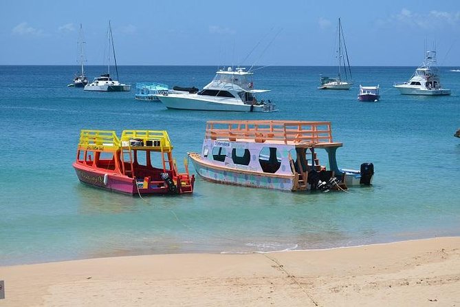Glass-bottom boats anchored over Buccoo Reef, Tobago