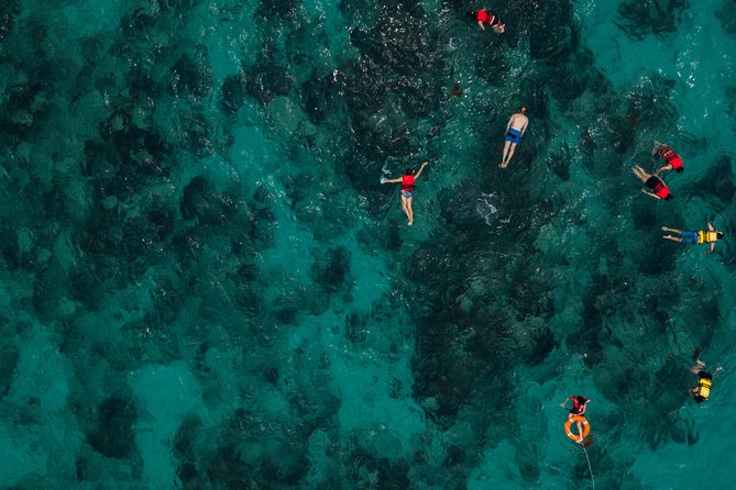 Tobago Buccoo Reef Glass Bottom Boat Tour - Stop 2 at Nylon Pool: Walk, Float, and Let the Sea Do the Work