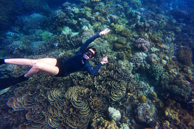 Tobago Buccoo Reef Glass Bottom Boat Tour - Price and Value: Is $78 Fair for What You Get?