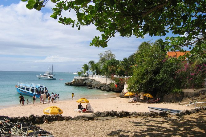 Tobago Buccoo Reef Glass Bottom Boat Tour - The Big Snorkeling Payoff: What You Can Expect to See Underwater