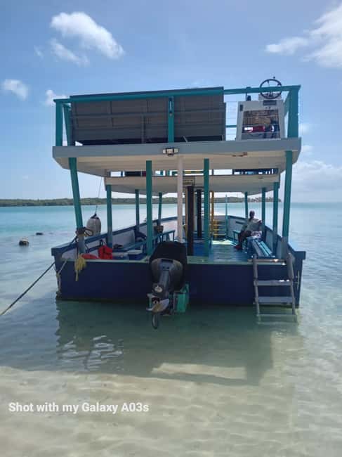 Tobago: Buccoo Reef Marine Park Glass Bottom Boat Tour - Nylon Pool: Shallow Water, Crush Coral Floor, and Turtle Chances