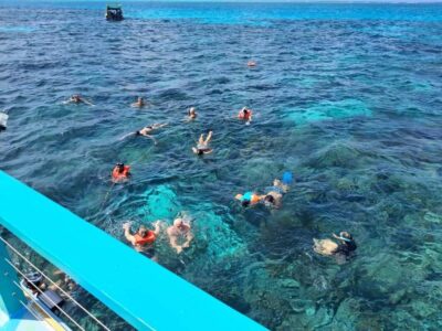Buccoo Reef Marine Park Glass Bottom Boat Tour